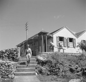 8e12cee83e8e365efce99d375901387838f5563bd05cd9dac0854d8e61cfc281