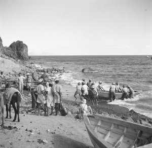 24ff3d48fbbe92a27896de94fb618ef224b310d656c2d9c0de68d146c5d1219c