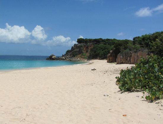 Pink sands at Tintamarre