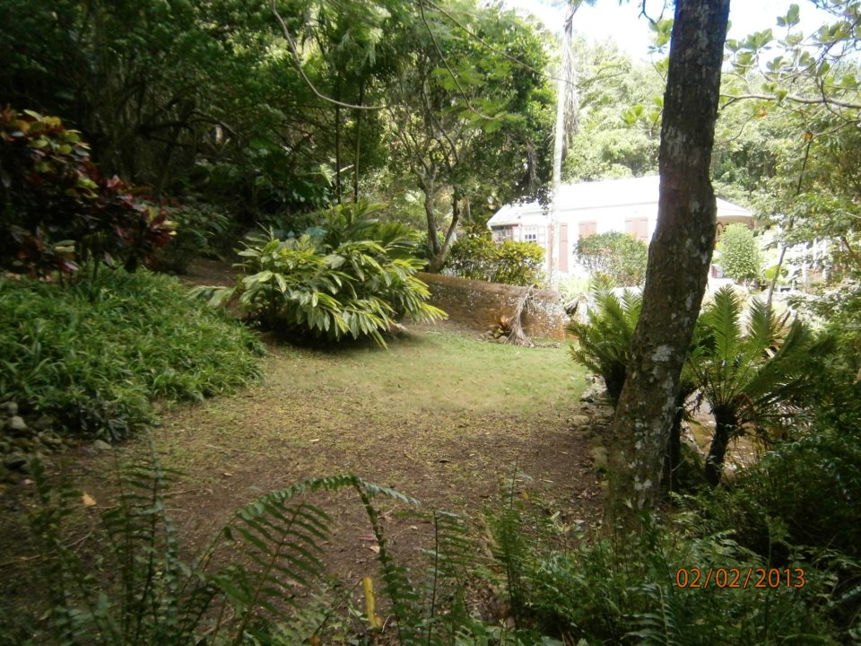 535942_10151531385674009_752922788_n