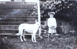 Raymond Aloysius  Johnson.