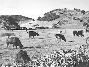 7c01515af6e131e3293b70c2abad45db5c809cd1252279492f21fc3adede90cd