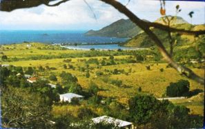 $T2eC16ZHJHgE9n0yG+fMBQoWi1wfnw~~60_3