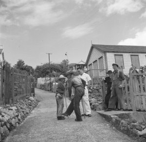 b527e50f126cf3b3b70b1d2eef8731f62be013395618a3a261a1ee3e7a250184