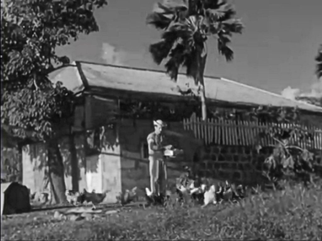 Carl Anslyn at Schotzenhoek planatation.