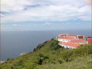 525086_4780725045031_1130902696_n