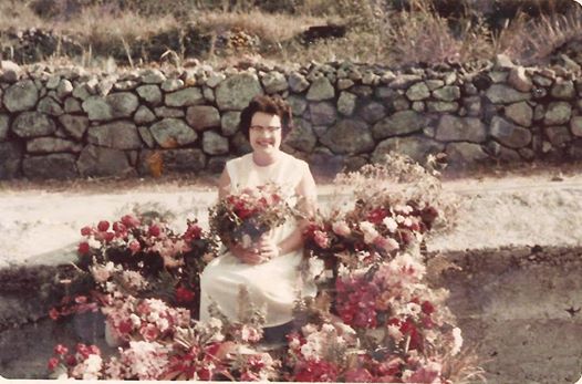 15326589_1258060094217400_634584648068049075_n