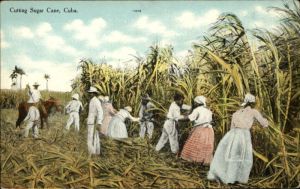 $(KGrHqYOKiQE5FLl154+BOc4BJMbPQ~~60_3