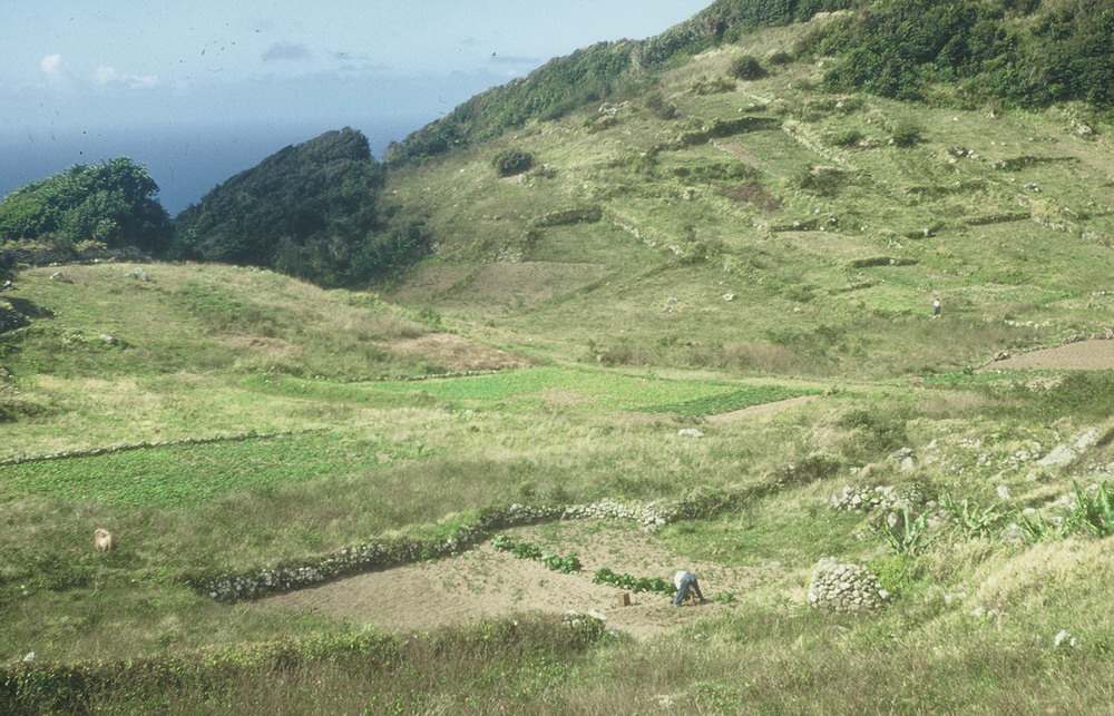 Farmland in Rendez-Vous