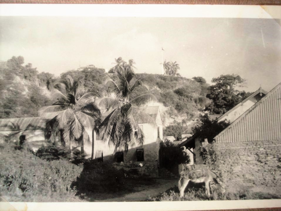 11188357_10153864480163986_4633644757312837370_n