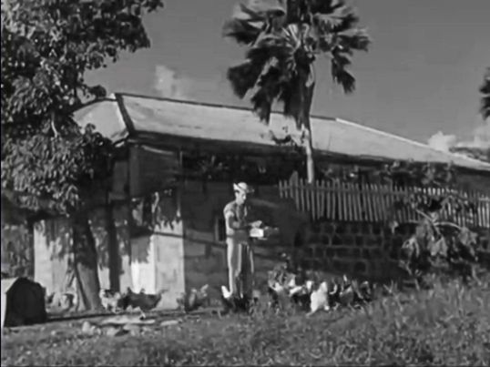 carl-anslyn-at-schotzenhoek-planatation